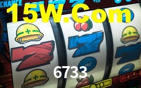 Bonus Features 6733